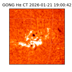 gong - 2026-01-21T19:00:42