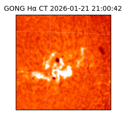 gong - 2026-01-21T21:00:42