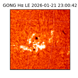 gong - 2026-01-21T23:00:42