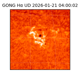 gong - 2026-01-21T04:00:02