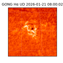 gong - 2026-01-21T08:00:02