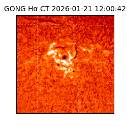 gong - 2026-01-21T12:00:42