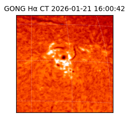 gong - 2026-01-21T16:00:42