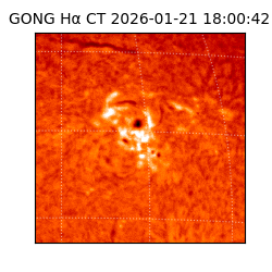 gong - 2026-01-21T18:00:42