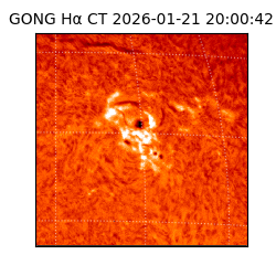 gong - 2026-01-21T20:00:42