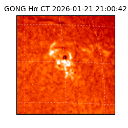 gong - 2026-01-21T21:00:42