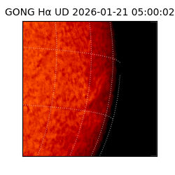 gong - 2026-01-21T05:00:02