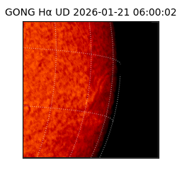 gong - 2026-01-21T06:00:02