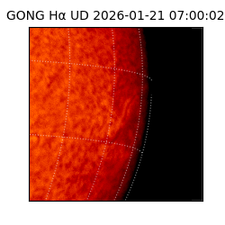gong - 2026-01-21T07:00:02