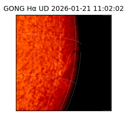 gong - 2026-01-21T11:02:02
