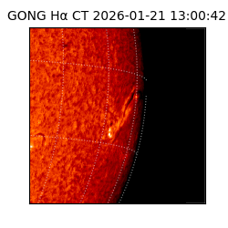 gong - 2026-01-21T13:00:42
