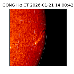 gong - 2026-01-21T14:00:42
