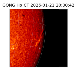 gong - 2026-01-21T20:00:42
