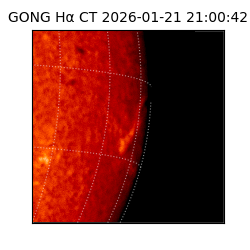 gong - 2026-01-21T21:00:42