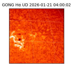 gong - 2026-01-21T04:00:02