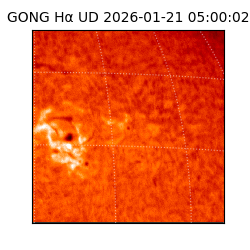 gong - 2026-01-21T05:00:02