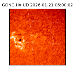gong - 2026-01-21T06:00:02
