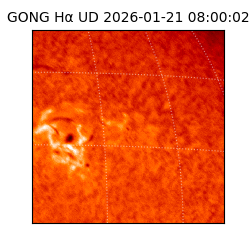 gong - 2026-01-21T08:00:02