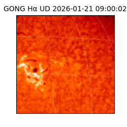 gong - 2026-01-21T09:00:02