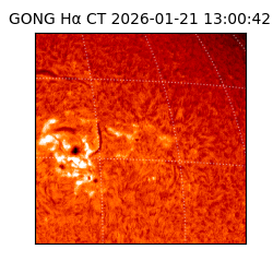 gong - 2026-01-21T13:00:42