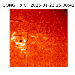 gong - 2026-01-21T15:00:42