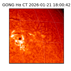 gong - 2026-01-21T18:00:42