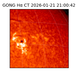 gong - 2026-01-21T21:00:42