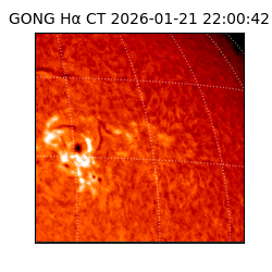gong - 2026-01-21T22:00:42