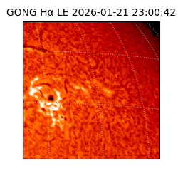 gong - 2026-01-21T23:00:42