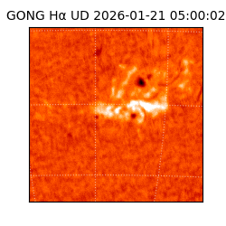 gong - 2026-01-21T05:00:02