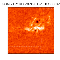 gong - 2026-01-21T07:00:02