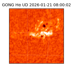 gong - 2026-01-21T08:00:02