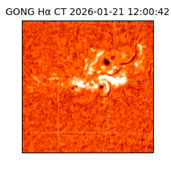 gong - 2026-01-21T12:00:42