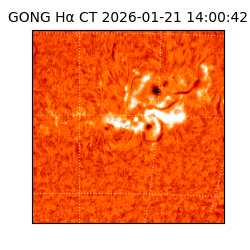 gong - 2026-01-21T14:00:42