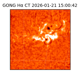 gong - 2026-01-21T15:00:42