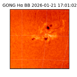 gong - 2026-01-21T17:01:02