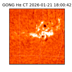 gong - 2026-01-21T18:00:42