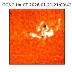gong - 2026-01-21T21:00:42