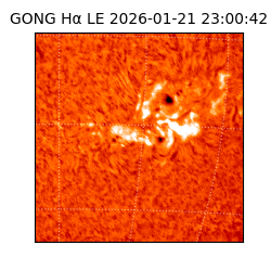 gong - 2026-01-21T23:00:42