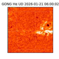 gong - 2026-01-21T06:00:02