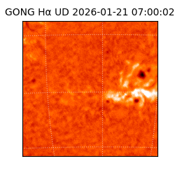 gong - 2026-01-21T07:00:02