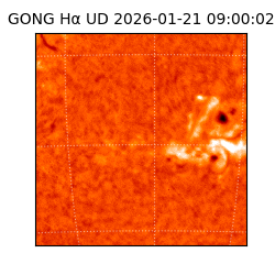gong - 2026-01-21T09:00:02