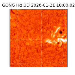 gong - 2026-01-21T10:00:02