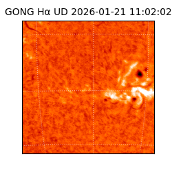 gong - 2026-01-21T11:02:02