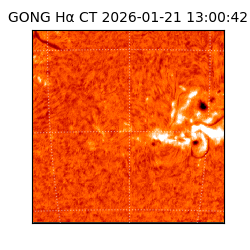 gong - 2026-01-21T13:00:42