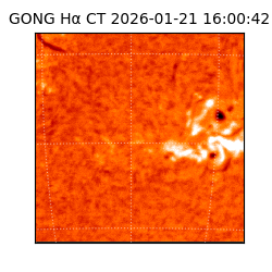 gong - 2026-01-21T16:00:42