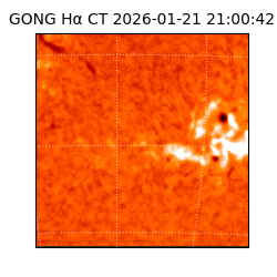 gong - 2026-01-21T21:00:42