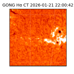 gong - 2026-01-21T22:00:42