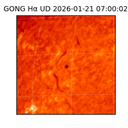gong - 2026-01-21T07:00:02