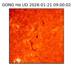 gong - 2026-01-21T09:00:02